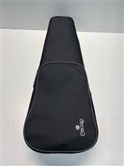 PRE-OWNED CECILIO MUSICAL INSTRUMENTS CVN-200 STUDENT VIOLIN